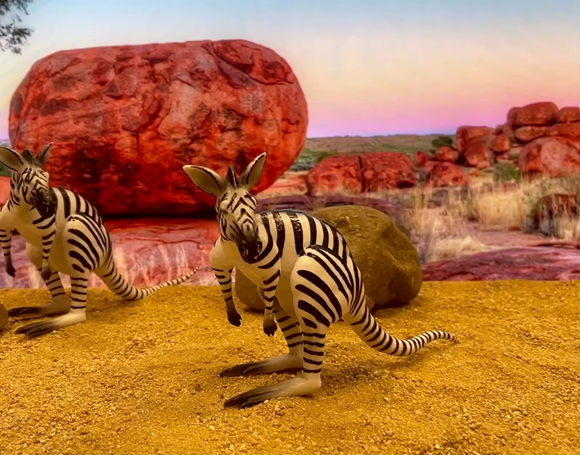 zangaroo zangaroo